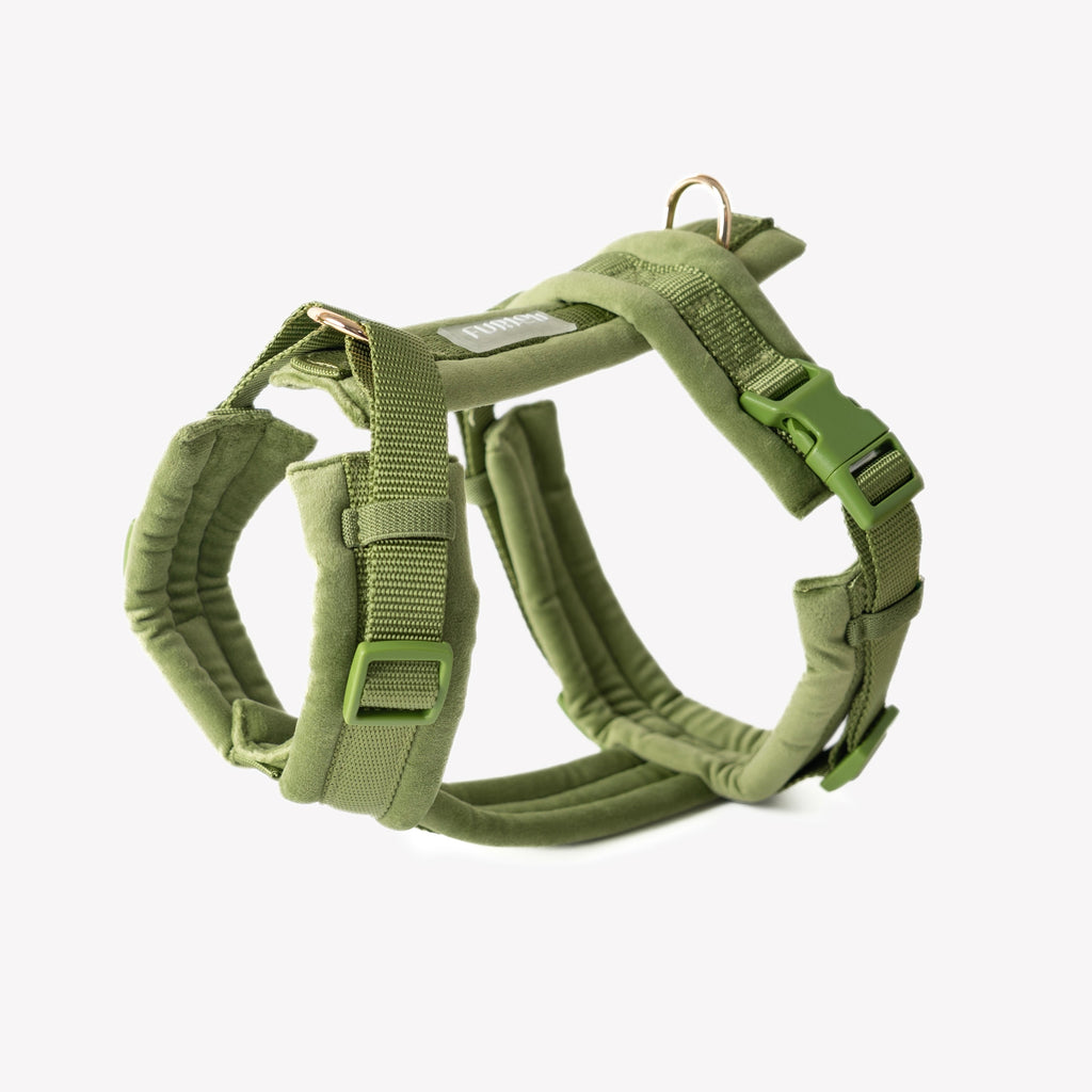 Green - Velvet Dog Harness