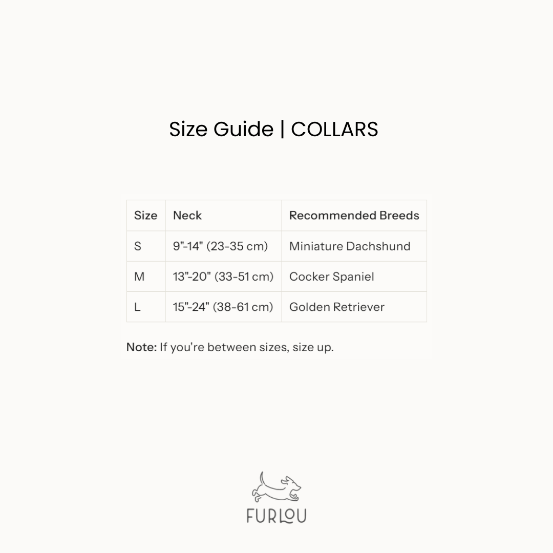 'Yellow' - Velvet Dog Collar