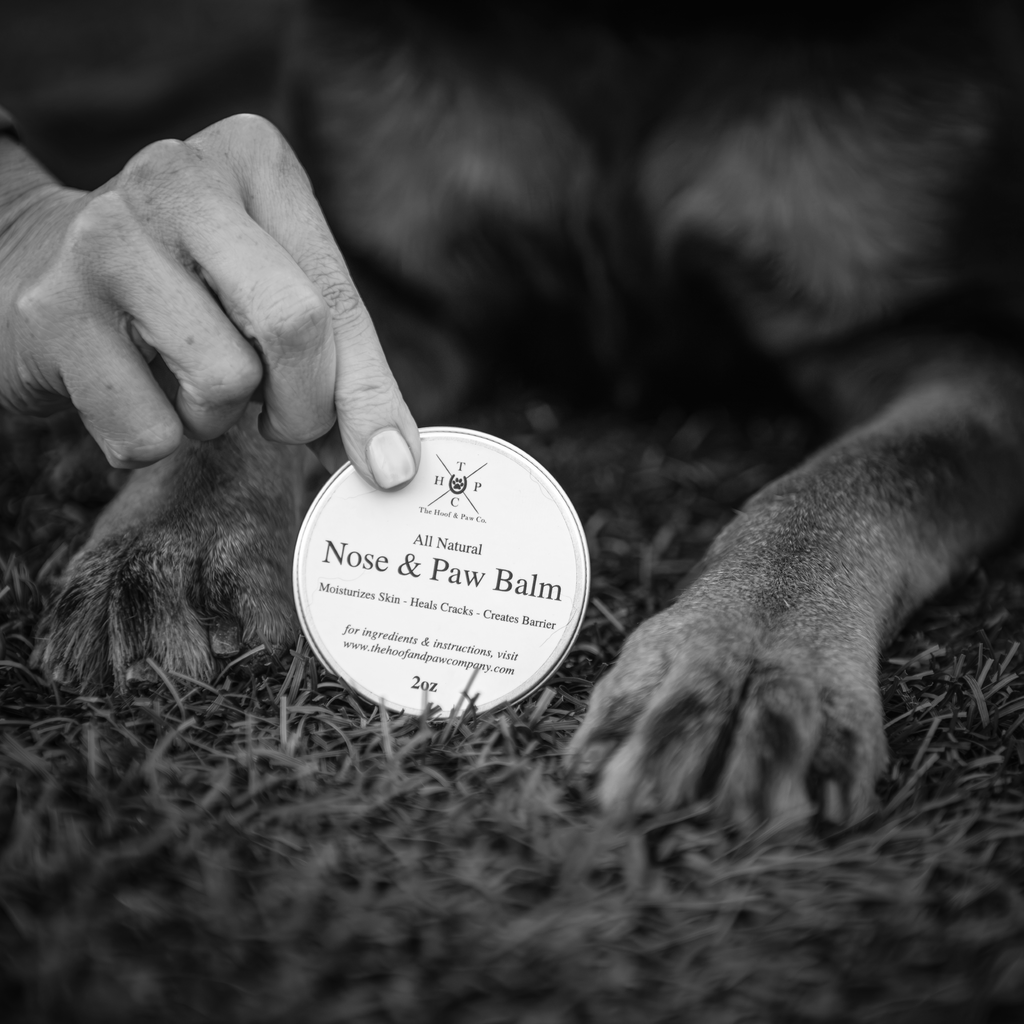 Nose & Paw Balm for Dogs - 2oz