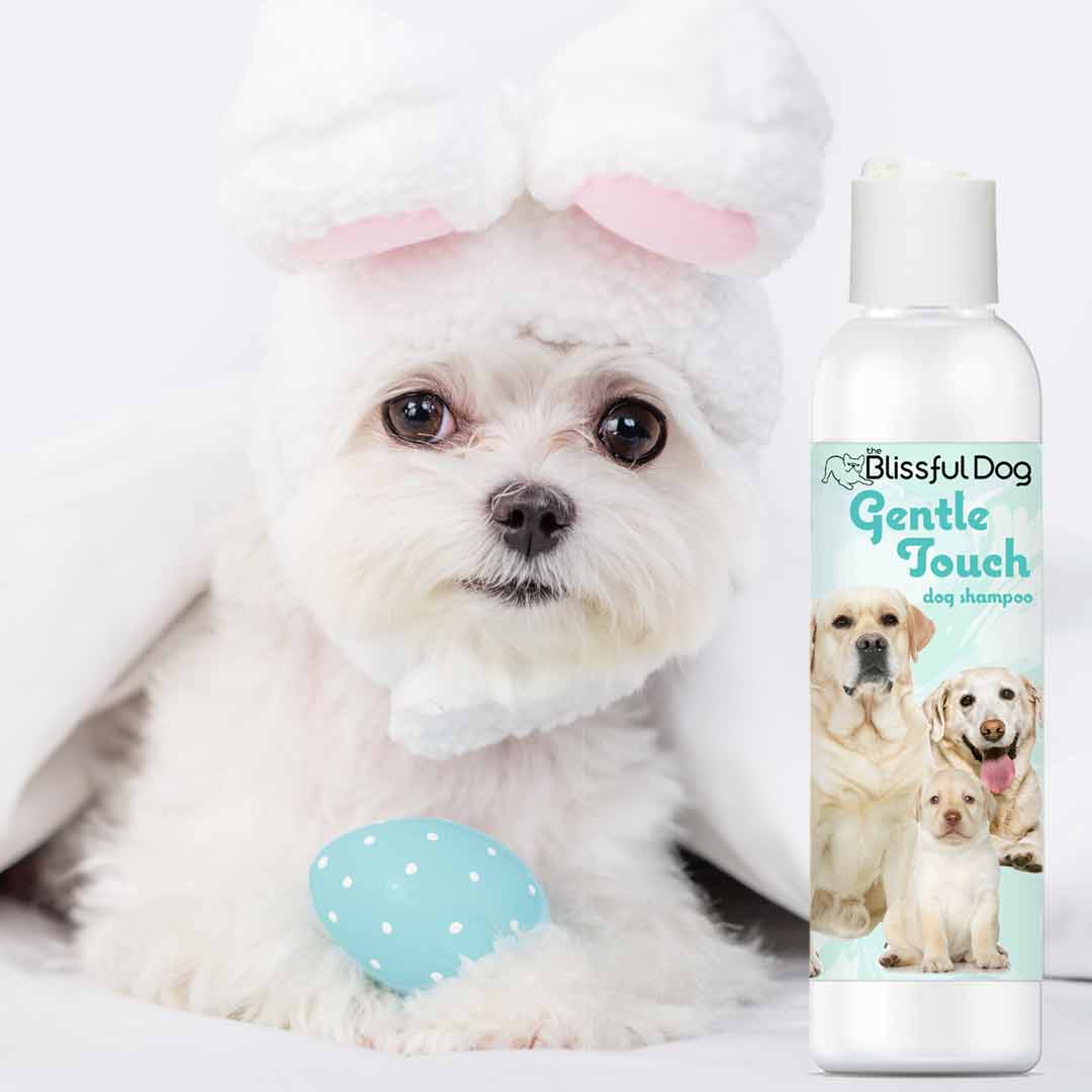 Gentle Touch Dog Shampoo & Soap
