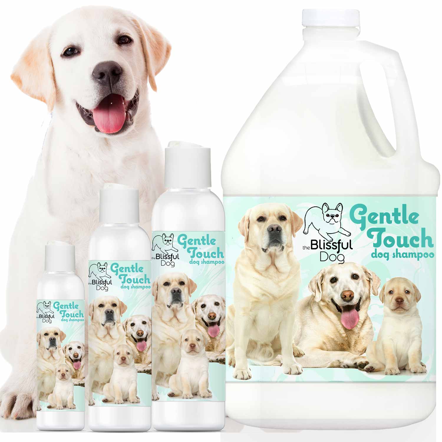 Gentle Touch Dog Shampoo & Soap